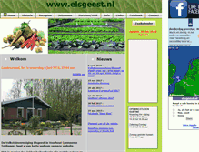 Tablet Screenshot of elsgeest.nl